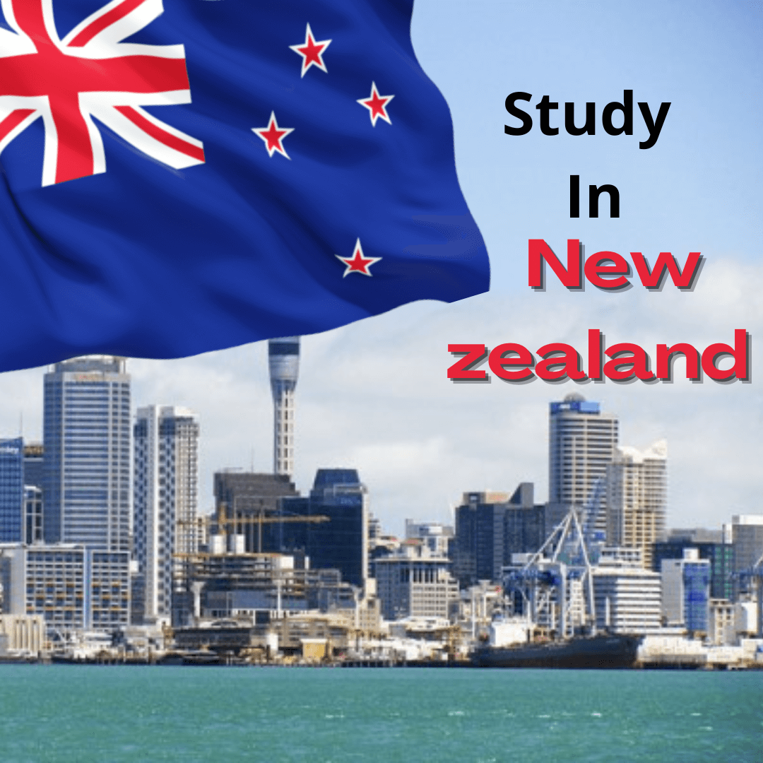 Study in New Zealand (1)